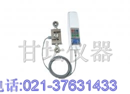 品牌500kg外置式推拉力計/5000N拉力計【經(jīng)濟價(jià)格】